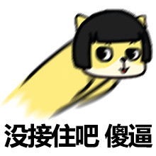 没接住吧，傻逼！