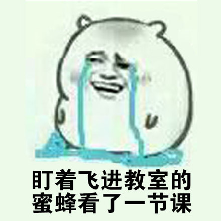 盯着飞进教室的蜜蜂掉了一节课