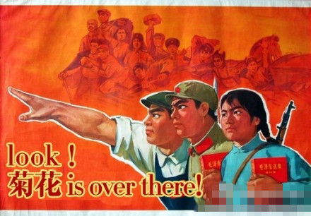 Look！菊花 is over there！