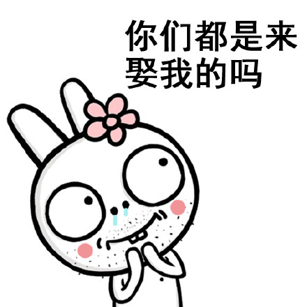 你们都是来娶我的吗？