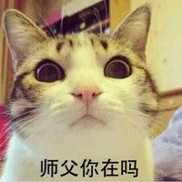喵星人师徒系列表情包 师父 你在吗
