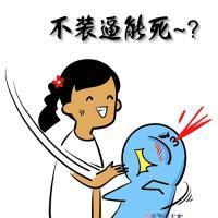 制冷少女表情包 不装逼能死