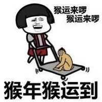 猴年金馆长聊天表情包 猴年猴运到表情包